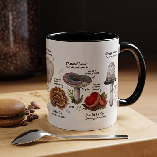 Mushroom Identification | Coffee Mug (11/15oz)